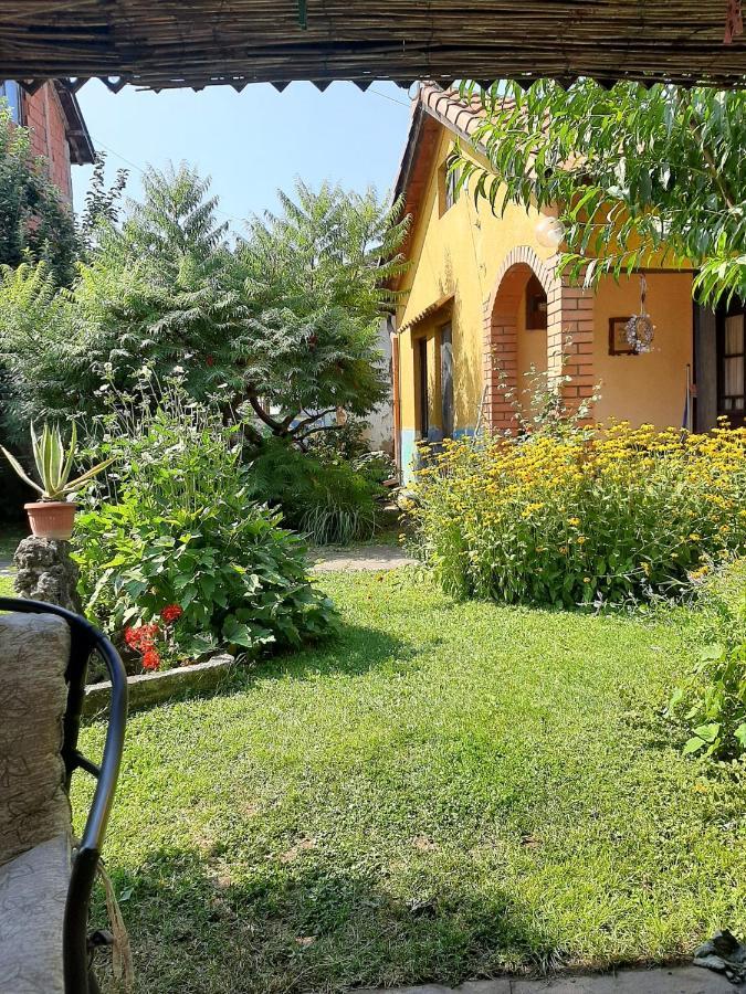 Garickina Kuca Apartment Pirot Exterior photo